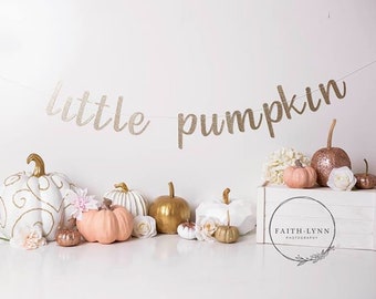 Smile Pumpkin Birthday Paper Hat Thankful Banner Fall Autumn Our Little Pumpkin 1st Birthday Decoration Pack Gold Shiny One Pumpkin Cake Topper Pumpkin Highchair Banner Burlap Thankful Banner Smile Pumpkin Birthday Paper Hat Thankful Banner Fall Autumn Our Little Pumpkin 1st Birthday Decoration Pack Gold Shiny One Pumpkin Cake Topper Pumpkin Highchair Banner Burlap Thankful Banner