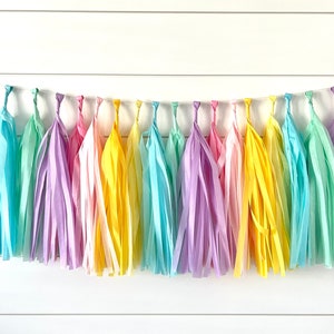 Pastel rainbow Tassel Banner, Tassel Garland Party Decor,First Birthday, 1st Birthday Decorations, High Chair Banner,