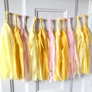 Sunshine Tassel Garland, You Are My Sunshine, Little Sunshine, Baby Shower Decor, Photo Backdrop, Sunflower First Birthday, pink lemonade