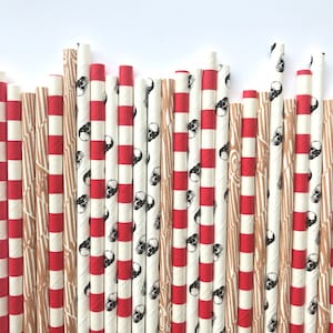 Pirate Paper Straws, Ahoy Matey, Pirate Birthday Party Decor, Drinking Straws