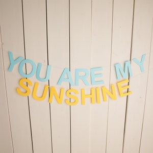 You are my sunshine Geburtstagsbanner, kleiner Sonnenschein, Sun Banner, erste Geburtstagsparty Cake Smash, erste Reise um die Sonne Geburtstag