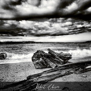May include: A black and white photograph of a large piece of driftwood on a beach with waves crashing in the background. The sky is cloudy and dramatic. The text "Robert Chism PHOTOWORKS" is at the bottom of the image.