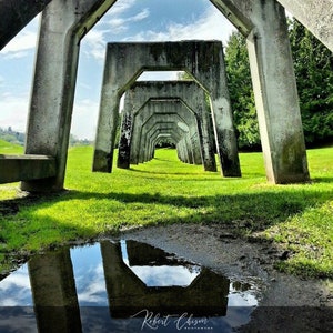 May include: A series of concrete arches create a tunnel-like structure in a grassy field. The arches are arranged in a symmetrical pattern, creating a sense of depth and perspective. A small puddle of water reflects the sky and the arches.