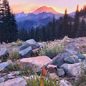 May include: A scenic view of a mountain range at sunset with a pink and orange sky. The mountain peaks are covered in trees and the foreground is a rocky landscape with wildflowers.