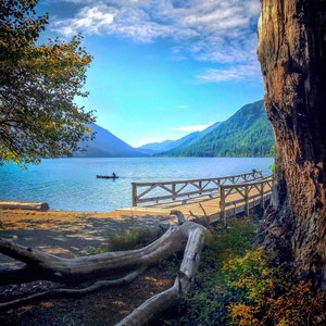 May include: Scenic landscape of a lake surrounded by mountains under a bright blue sky with fluffy white clouds. A wooden pier extends into the water, and a person is seen in a small boat. A large tree trunk is on the right.