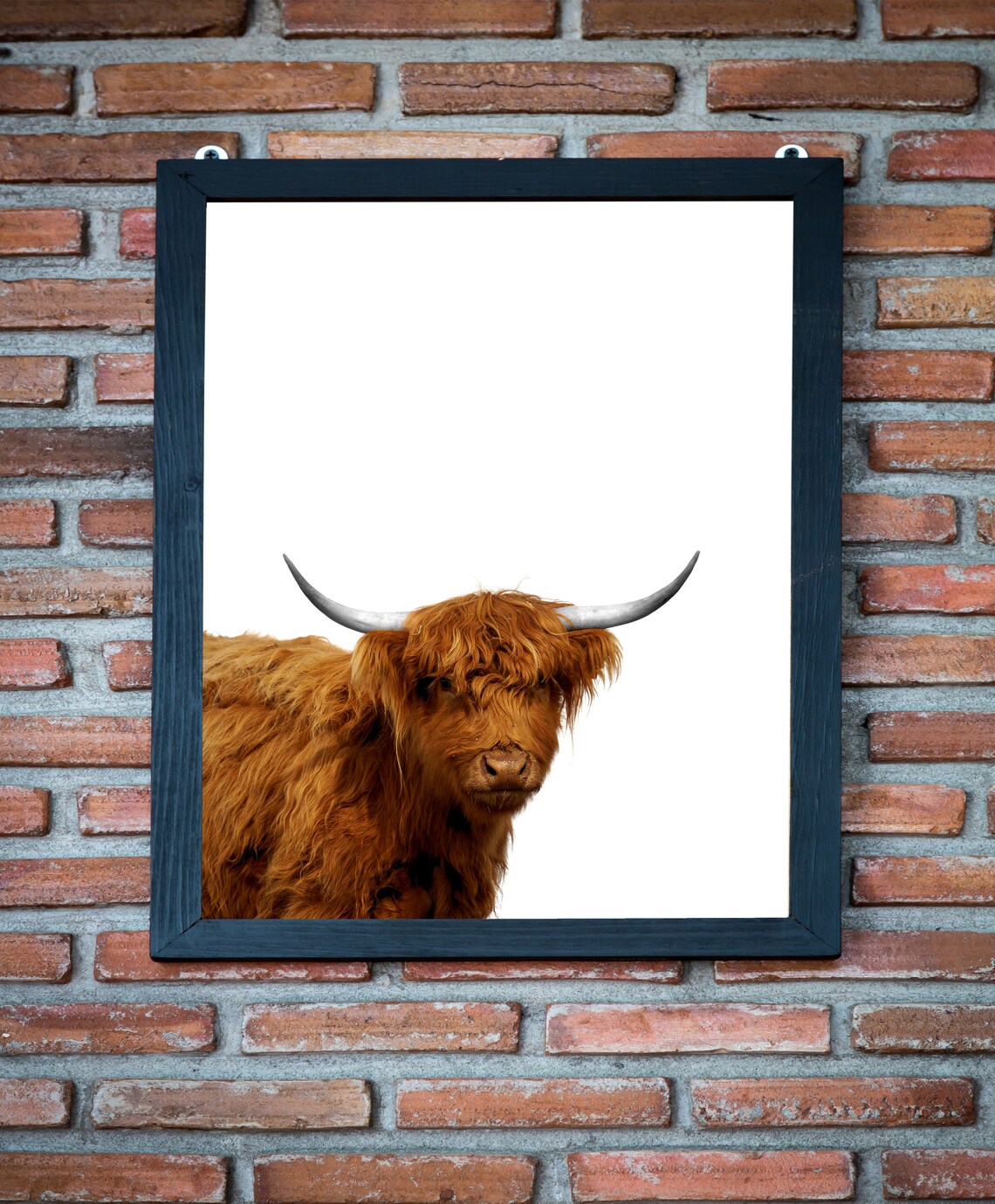 Highland Cow Print Kitchen Farmhouse Decor Shaggy Cow Photo Etsy