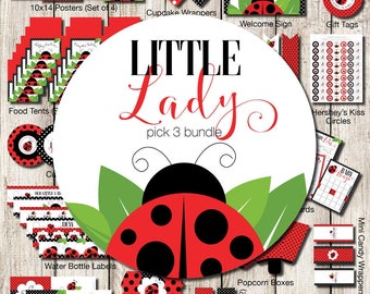 Kit de decoración para fiesta de mariquitas, decoración de baby shower de primavera, paquete de fiesta de mariquitas pequeñas, Little Lady It's a Girl, paquete de 3 selecciones DIGITAL L5