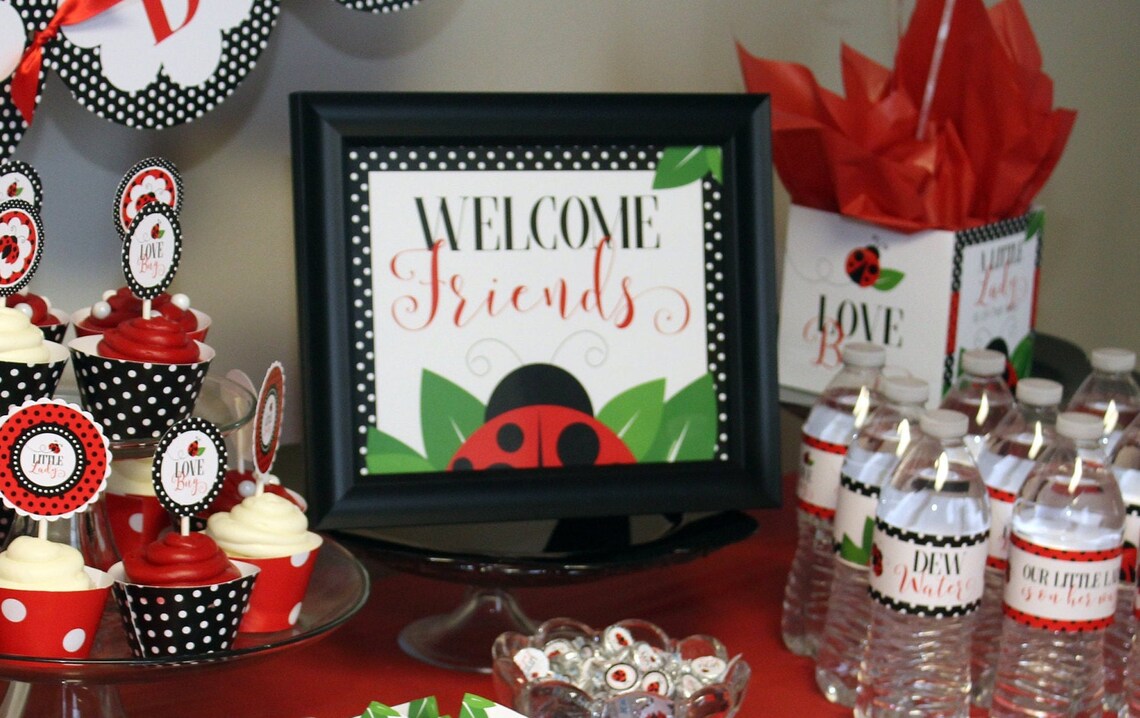 Ladybug Baby Shower Decorations Sign Ladybug Etsy
