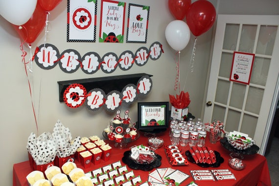 Ladybug Baby Shower Decorations Poster Set Ladybug Etsy