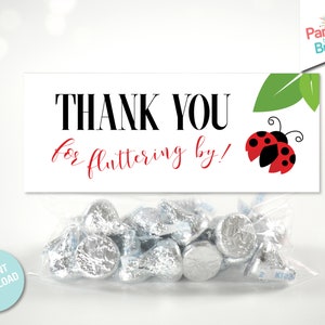 Ladybug Treat Toppers, Ladybug Printable Party, Ladybug Treat Bags, Ladybug Favors, Little Lady Printables, INSTANT DOWNLOAD, DIGITAL L5