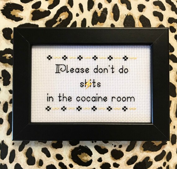 FRAMED finished completed cross stitch bitch | Please don&#39;t do shits in the cocaine room | funny subversive needlepoint | modern embroidery