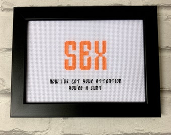 Framed & finished cross stitch bitch, custom personalised funny gifts for her him, birthday, fun embroidery