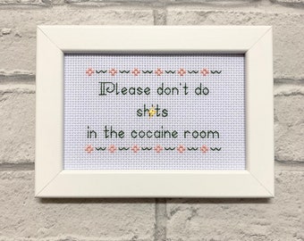 Please don't do shits in the cocaine room, funny subversive needlepoint, modern embroidery, finished completed by cross stitch bitch,