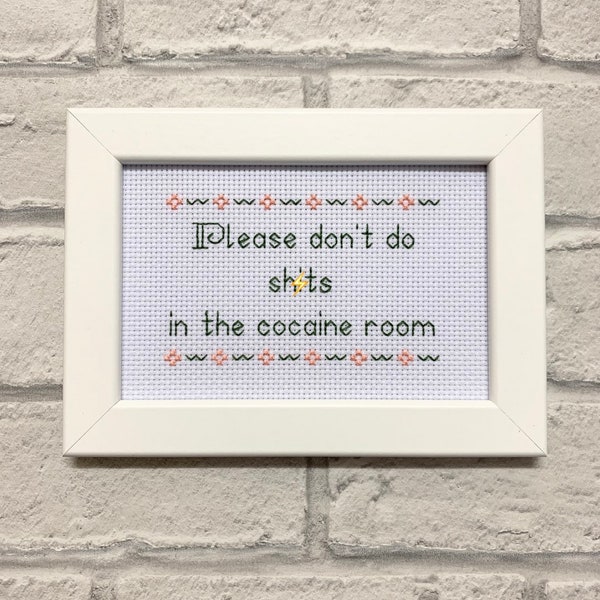 Please don't do shits in the cocaine room, funny subversive needlepoint, modern embroidery, finished completed by cross stitch bitch,