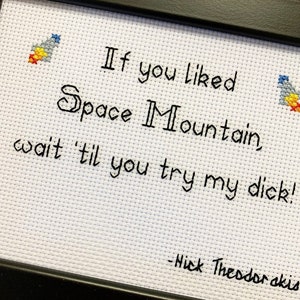 Framed & finished cross stitch bitch, your message stitched, custom personalised fun gift, birthday, embroidery, original design image 9