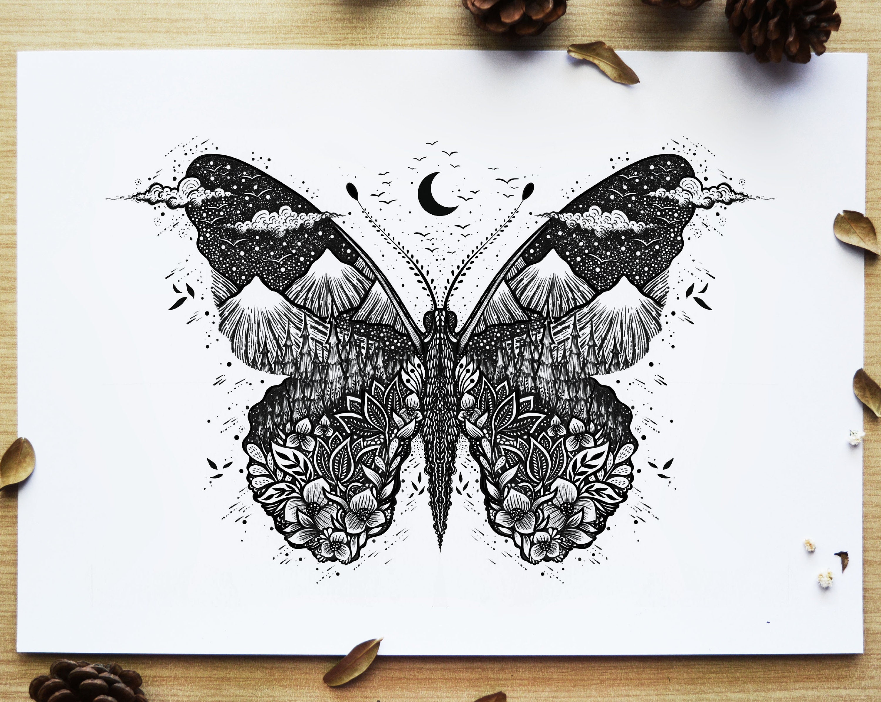 Butterfly Drawing Fantasy Art Folk Art Nature |