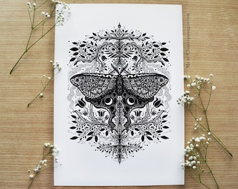 Luna Moth | Drawing, Fantasy Art, Botanical Art, Night, Nature, Pattern design, Moon, Nature, Insect | A4 size Print