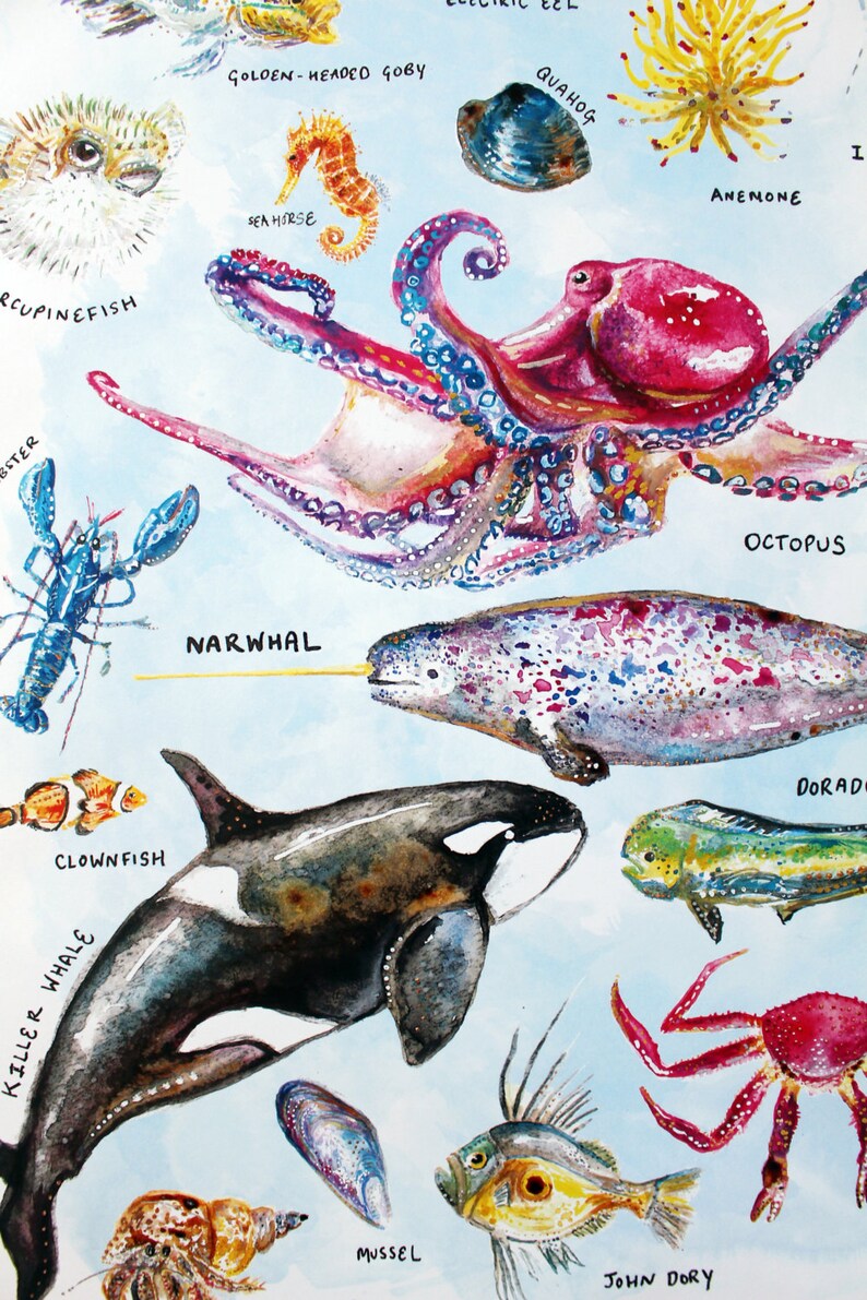 Marine Life Art Print Marine Life Print Ocean Nursery - Etsy