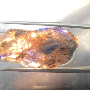 May include: A rough, irregularly shaped, dark brown gemstone with blue and purple hues. The gemstone is illuminated from below, highlighting its internal structure.