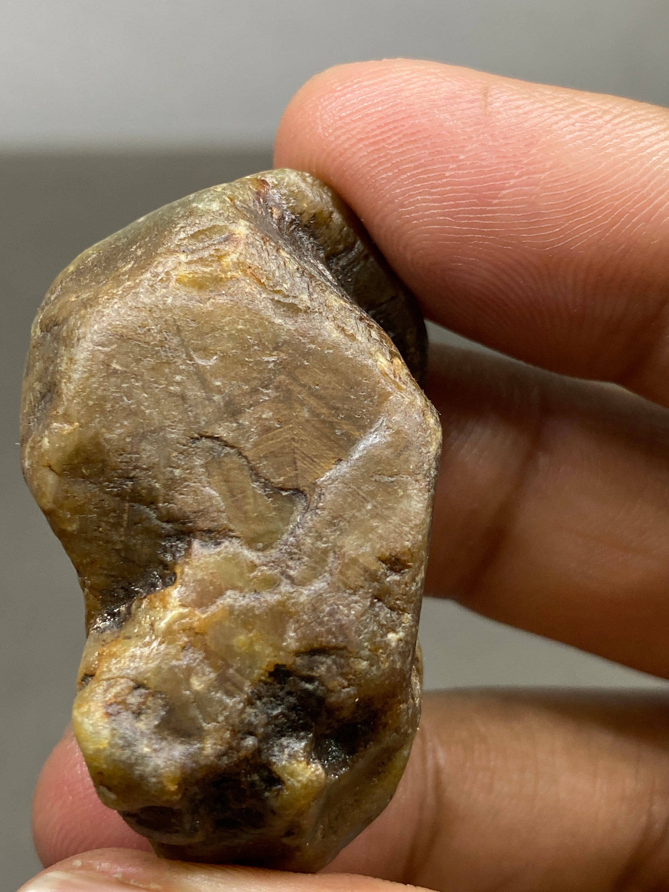 Very Rare Natural Gold Sheen Sapphire Brown Sapphire 216 Carats