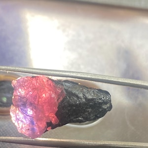 May include: A rough, dark purple and red gemstone with a black, rough exterior. The gemstone is held in tweezers.