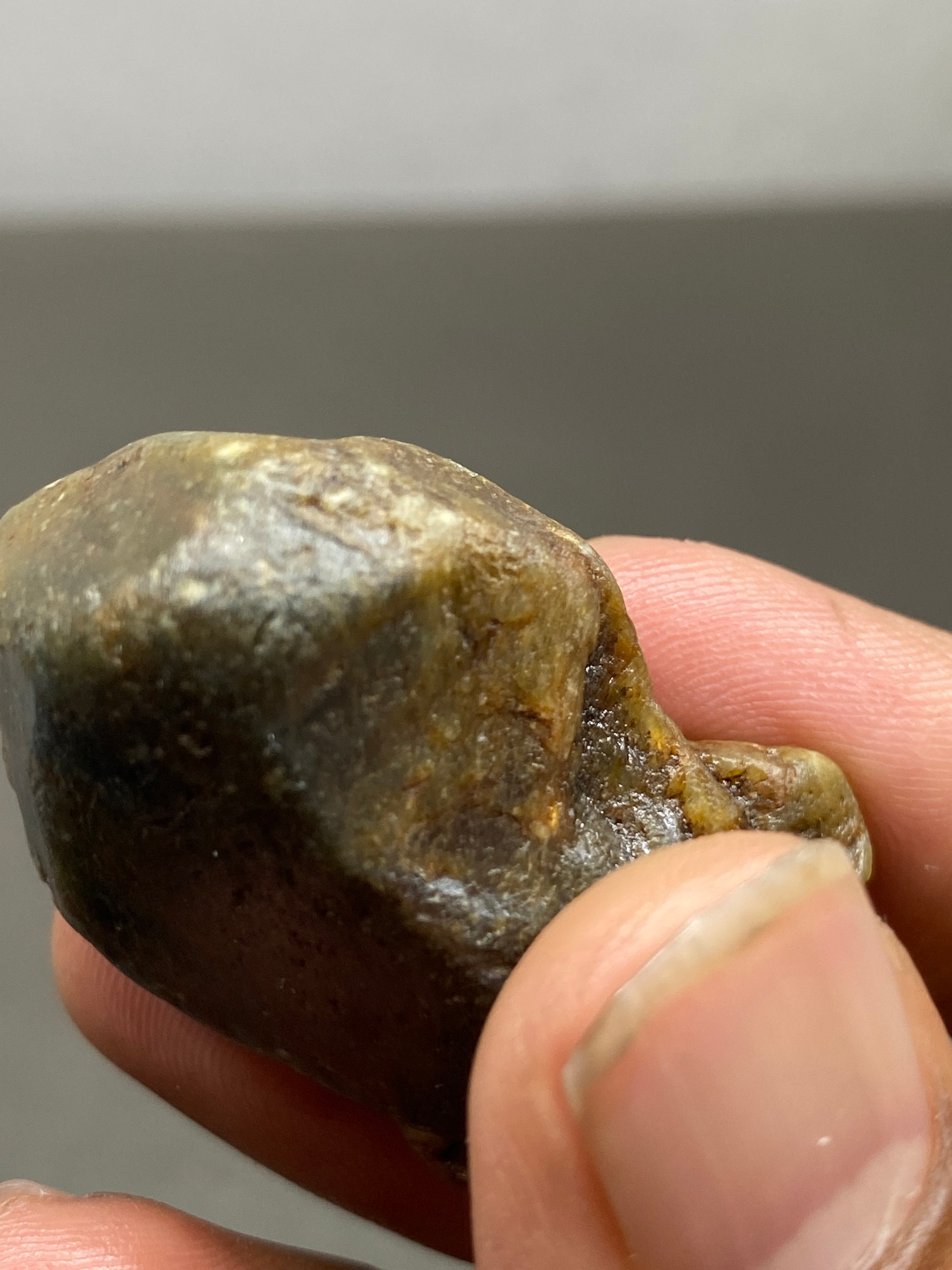 Very Rare Natural Gold Sheen Sapphire Brown Sapphire 216 Carats