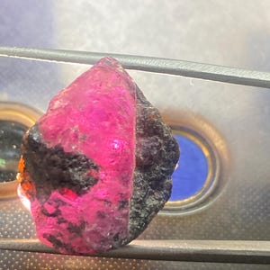May include: A natural ruby gemstone, roughly cut and unpolished. One side of the ruby is a bright pink, while the other is a darker, blackish colour. The gemstone is held by tweezers, highlighting its raw, natural state.