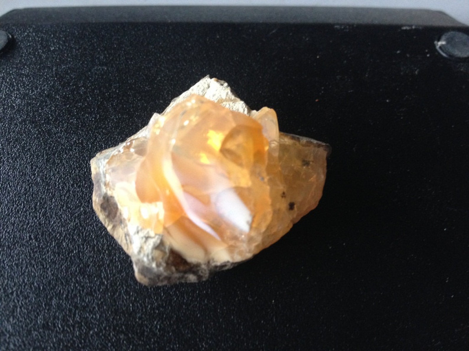 opal gift ideas