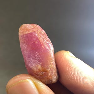 May include: A raw, unpolished ruby crystal with a cylindrical, elongated shape. The gemstone displays a vibrant pinkish-red hue with translucent sections and natural surface textures, including visible internal inclusions and earthy orange-toned mineral deposits.