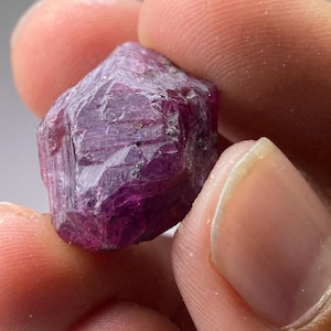 May include: A deep red ruby crystal with a faceted, geometric shape. The crystal is held in a hand, showcasing its intricate facets and natural beauty.