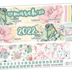 TS08 || Sweet Succulents Simplified Monthly Kit