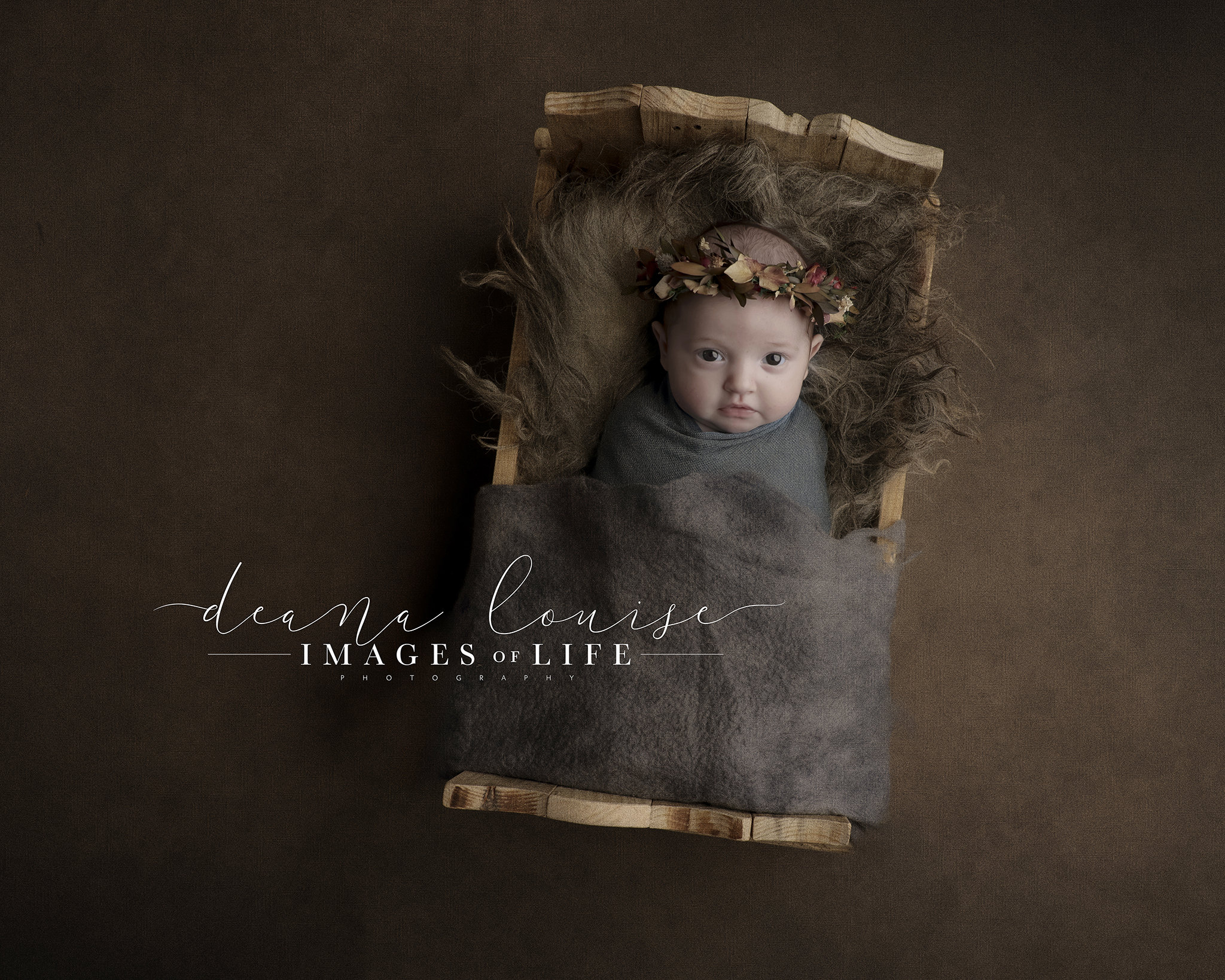 Newborn Photography Prop Bed Large for Twins and Older Babies Etsy