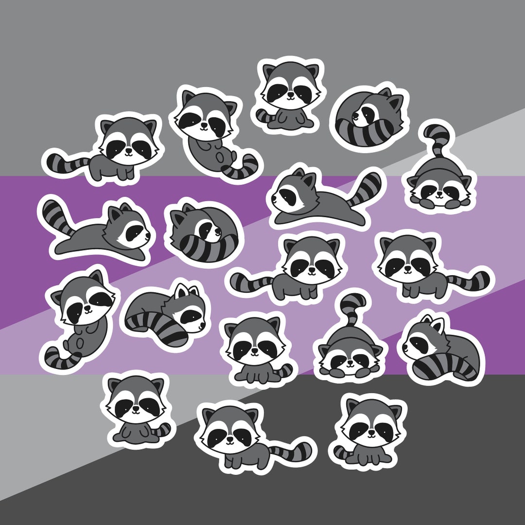 Raccoon Stickers Pack of 15 - Etsy