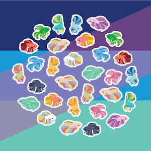 Op de afbeelding: Een verzameling kleurrijke betta-visstickers in verschillende kleuren, waaronder rood, blauw, groen en roze, gerangschikt in een cirkelvormig patroon tegen een gradiëntachtergrond van blauw, paars en teal. Elke sticker heeft een witte rand.