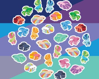 Betta Fish stickers pack of 30