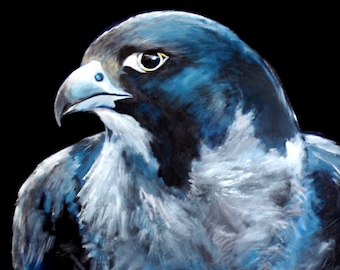 Peregrine Falcon painting - 8.5 x 11" print from original acrylic painting