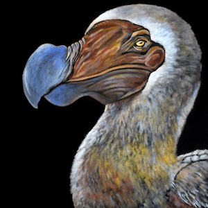 Cuadro de pájaro dodo: impresión de 8,5 x 11" a partir de pintura acrílica original