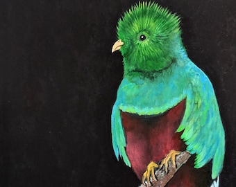 Quetzal painting - 8.5 x 11" print from original acrylic painting