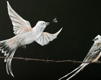 Scissor-tailed Flycatchers  - 8.5 x 11" print from original acrylic painting