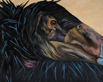 California Condor painting - 8.5 x 11" print from original acrylic painting