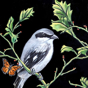 Peut inclure: Un oiseau gris et blanc perché sur une branche avec des feuilles vertes et des baies rouges. Un papillon monarque est sur la branche en dessous de l'oiseau.