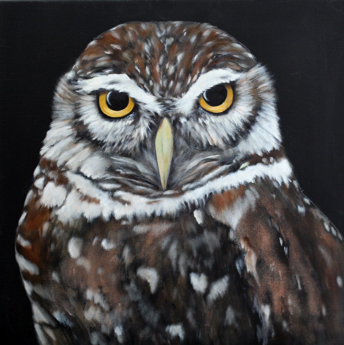Burrowing Owl painting - 8.5 x 11" print from original acrylic painting