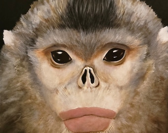 Snub Nose Monkey  - 8.5 x 11" print from original acrylic painting