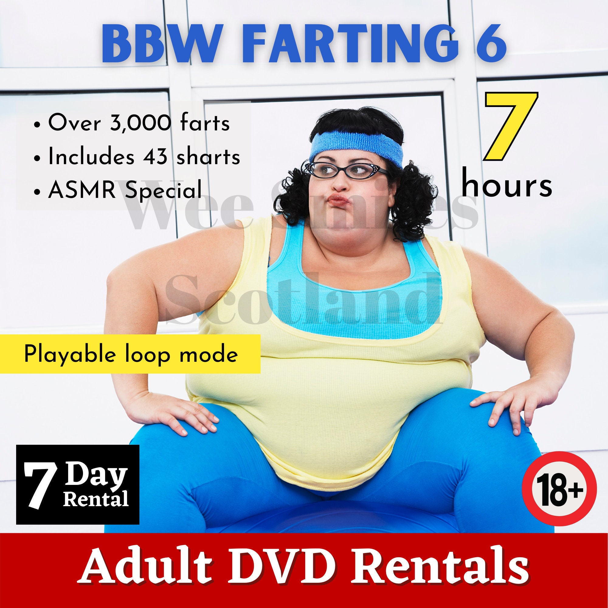 Prank Gift BBW Farting, Snail Mail , Practical Joke, Prank Mail, 100%  Anonymous, Inappropriate Gifts. Disc is Blank - Etsy