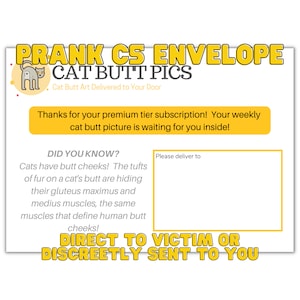 Grappige envelop - Cat Butt Pics - Prankmail die rechtstreeks naar het slachtoffer wordt verzonden of discreet naar jou wordt verzonden. Vervanging wenskaartenvelop, knipoog