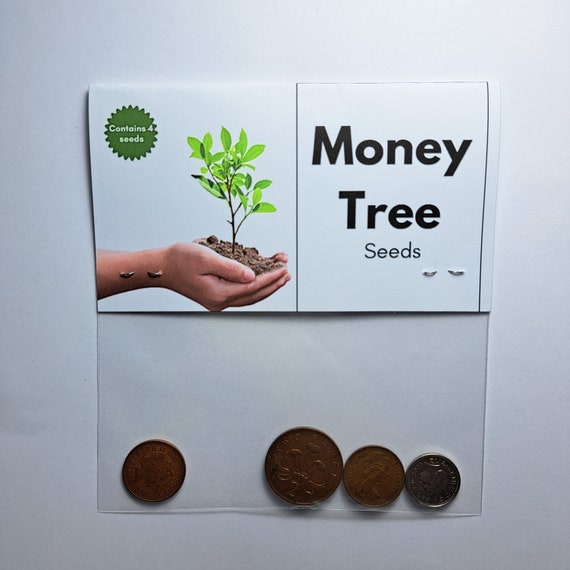 Novelty Gift Money Tree Seeds Cheap Funny Witty Gifts. Etsy Sweden