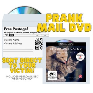 Regalo scherzo - Gatti bi-curiosi - Posta ordinaria, scherzo pratico, scherzo postale, regali anonimi e inappropriati al 100%. (DVD/CD casuale)