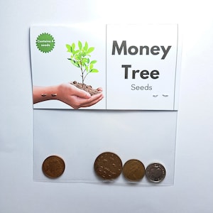 Regalo originale - Semi dell'albero dei soldi - Regali economici, divertenti e spiritosi.