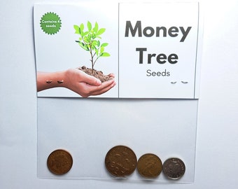 Novelty Gift - Money Tree Seeds - Cheap & funny witty gifts.