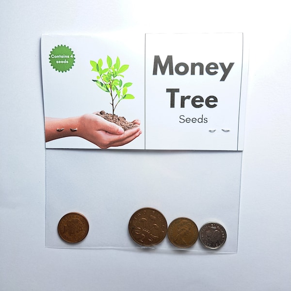 Novelty Gift - Money Tree Seeds - Cheap & funny witty gifts.